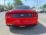 2018 Mustang Thumbnail 4