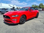 2018 Mustang Thumbnail 7