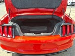 2018 Mustang Thumbnail 9
