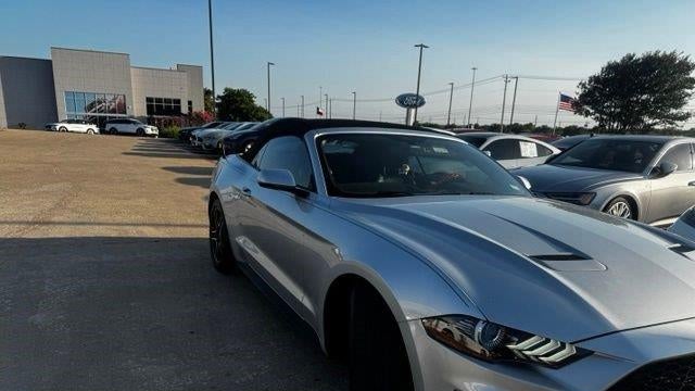 Preowned 2019 Ford Mustang EcoBoost for Sale