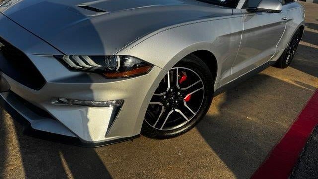 2019 Ford Mustang EcoBoost