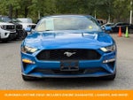 2019 Mustang Thumbnail 2