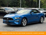2019 Mustang Thumbnail 3