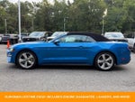 2019 Mustang Thumbnail 4