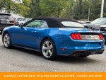 2019 Mustang Thumbnail 6