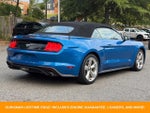 2019 Mustang Thumbnail 7