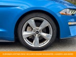 2019 Mustang Thumbnail 8