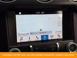 2019 Mustang Thumbnail 12