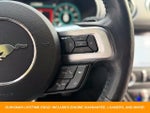 2019 Mustang Thumbnail 16