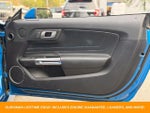 2019 Mustang Thumbnail 20