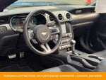 2019 Mustang Thumbnail 29