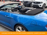 2019 Mustang Thumbnail 33