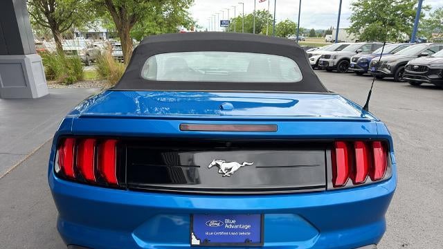 2019 Ford Mustang EcoBoost