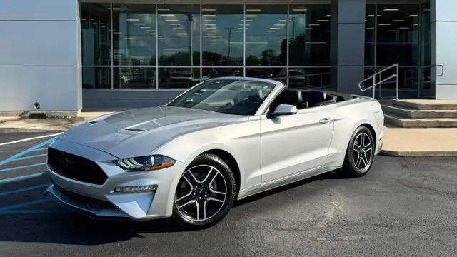 Preowned 2019 Ford Mustang EcoBoost for Sale