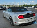 2019 Mustang Thumbnail 3