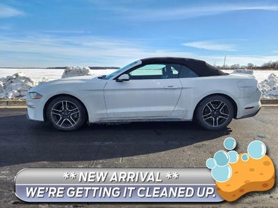 2019 Ford Mustang Ecoboost Premium 2DR Convertible