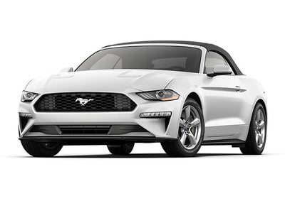 Photo of a 2019 Ford Mustang Ecoboost 2DR Convertible for sale