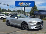 2019 Mustang Thumbnail 1