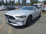 2019 Mustang Thumbnail 3