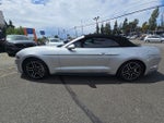 2019 Mustang Thumbnail 4