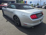 2019 Mustang Thumbnail 5