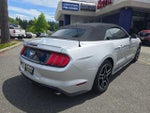 2019 Mustang Thumbnail 7