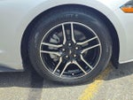 2019 Mustang Thumbnail 9