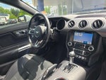 2019 Mustang Thumbnail 10
