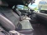 2019 Mustang Thumbnail 11