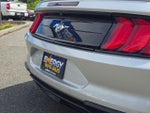 2019 Mustang Thumbnail 13