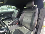 2019 Mustang Thumbnail 17