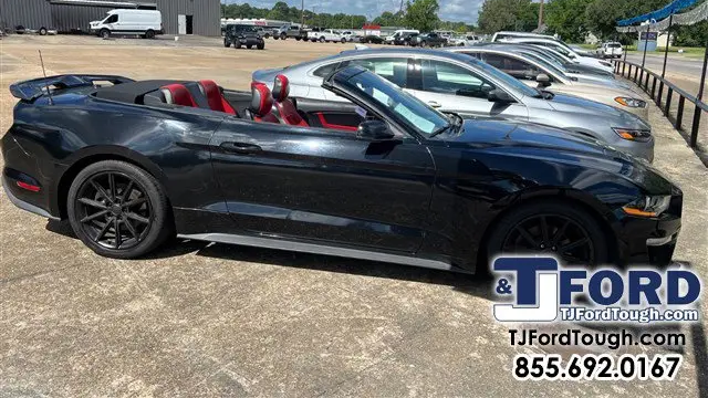 2019 Ford Mustang EcoBoost