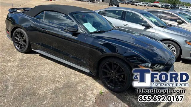 Preowned 2019 Ford Mustang EcoBoost Premium for Sale