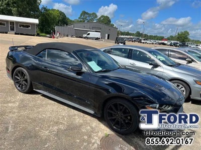 Photo of a 2019 Ford Mustang Ecoboost Premium 2DR Convertible for sale