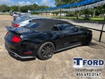 2019 Mustang Thumbnail 2