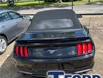 2019 Mustang Thumbnail 3