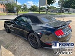 2019 Mustang Thumbnail 4