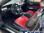 2019 Mustang Thumbnail 6