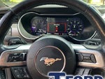 2019 Mustang Thumbnail 12