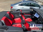 2019 Mustang Thumbnail 15