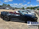 2019 Mustang Thumbnail 16