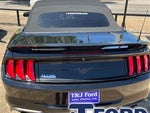 2019 Mustang Thumbnail 18