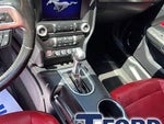 2019 Mustang Thumbnail 22