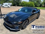 2019 Mustang Thumbnail 24