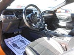 2019 Mustang Thumbnail 3