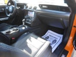 2019 Mustang Thumbnail 6