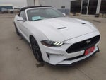 2020 Mustang Thumbnail 4