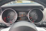 2023 Mustang Thumbnail 21