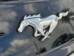 2023 Mustang Thumbnail 10