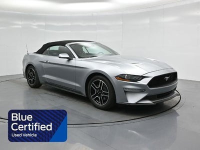 Photo of a 2023 Ford Mustang Ecoboost 2DR Convertible for sale